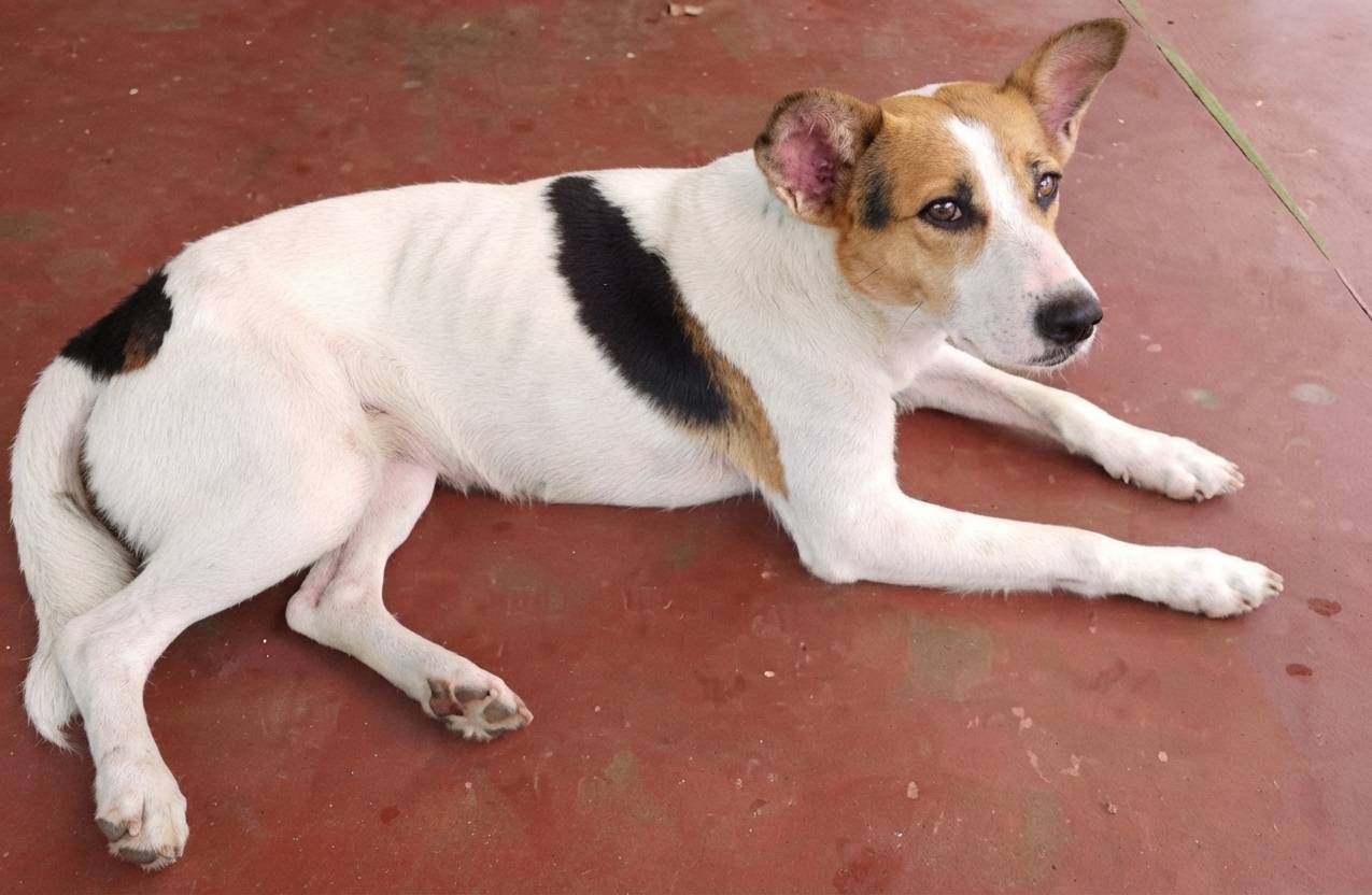 Foto de CHIQUI
