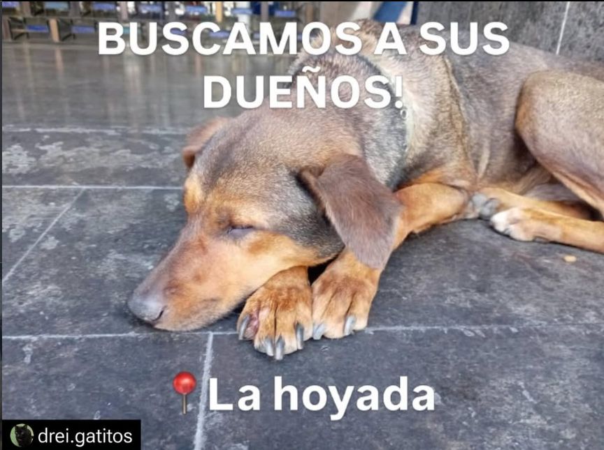 Foto de No sé