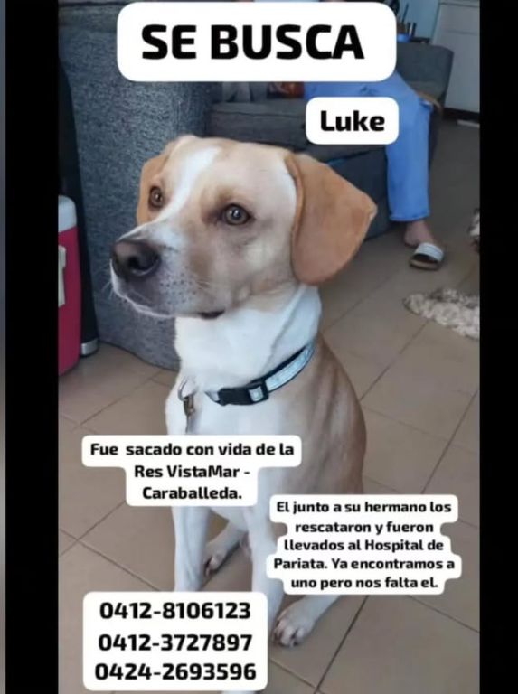 Foto de Luke
