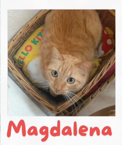 Foto de Magdalena